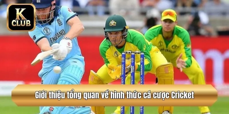 Giới thiệu tổng quan về hình thức cá cược Cricket