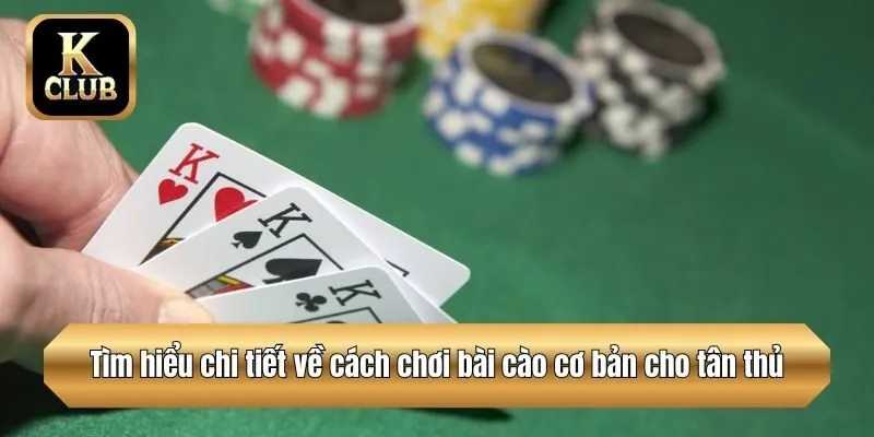 Tìm hiểu chi tiết về cách chơi bài cào cơ bản cho tân thủ