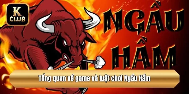 Tổng quan về game và luật chơi Ngầu Hầm