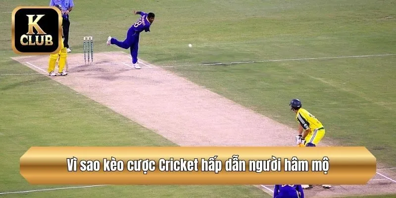 Vì sao kèo cược Cricket hấp dẫn người hâm mộ?